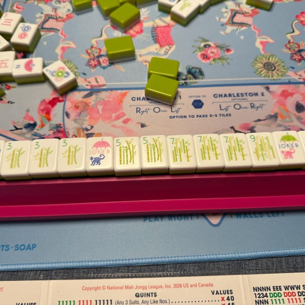 Drake Mahjong Tiles photo review